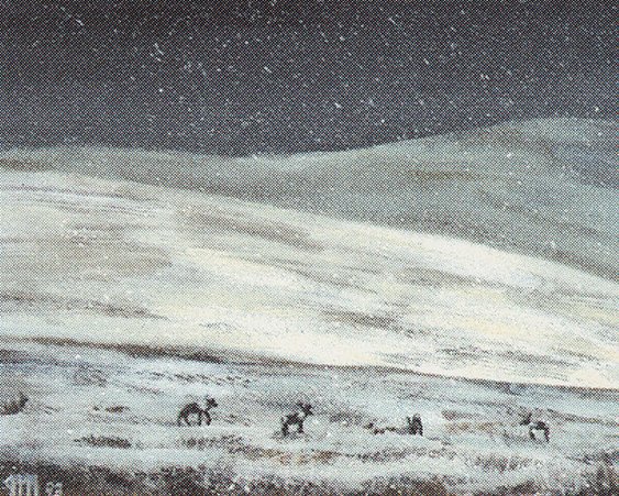 Tundra
