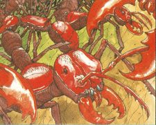 Carrion Ants