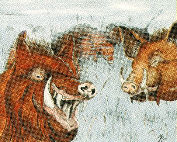 Durkwood Boars