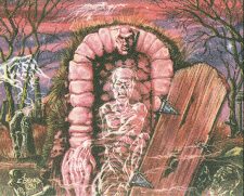 Ghosts of the Damned