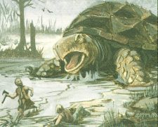 Giant Turtle