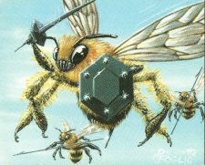 Killer Bees