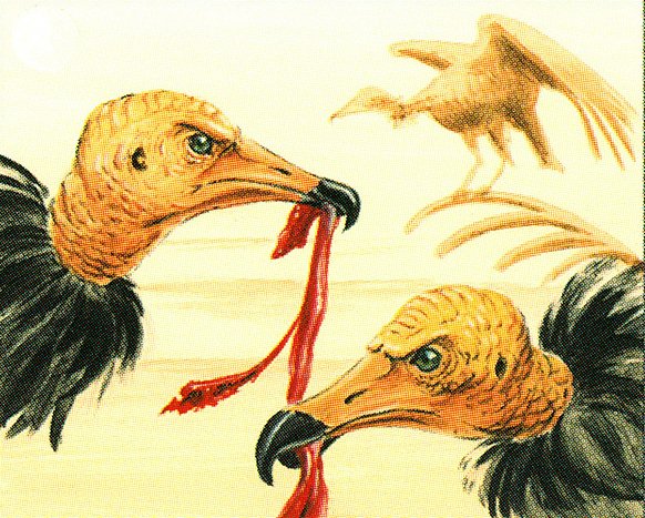 Osai Vultures