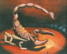 Pit Scorpion