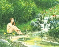 Sylvan Paradise