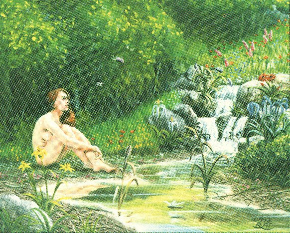 Sylvan Paradise