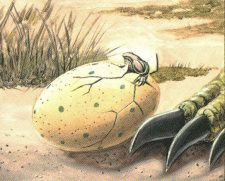 Triassic Egg