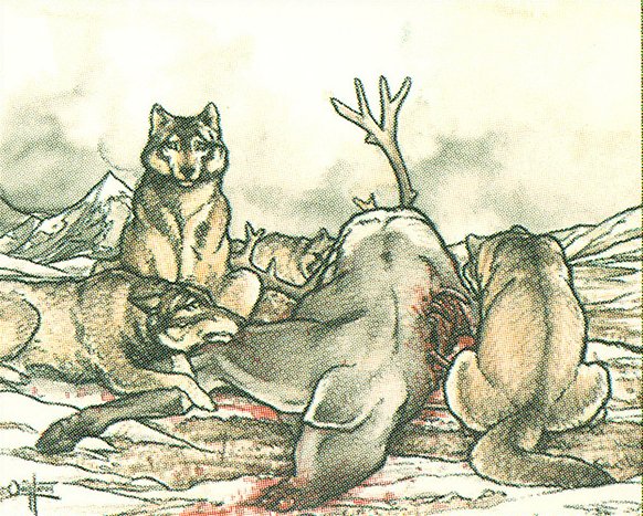 Tundra Wolves