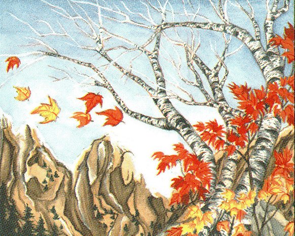 Untamed Wilds