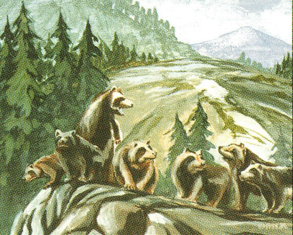 Wolverine Pack
