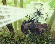 Patron of the Wild