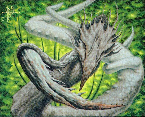 Root Sliver