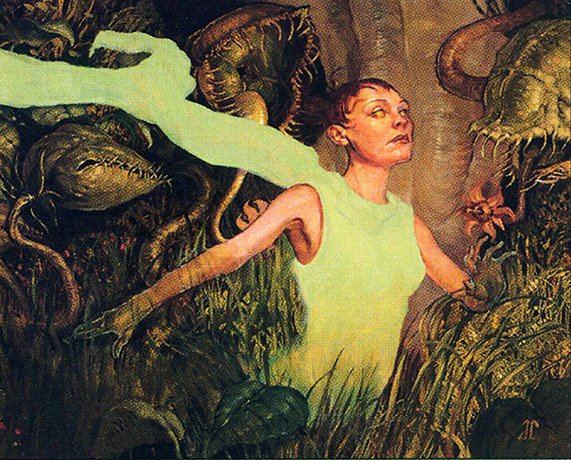 Seedborn Muse