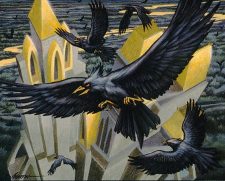 Sootfeather Flock