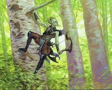 Timberwatch Elf