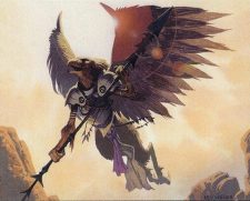 Wingbeat Warrior