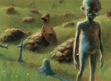 Cairn Wanderer