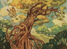 Cloudcrown Oak
