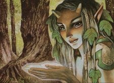 Elvish Harbinger