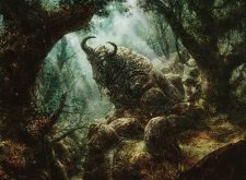 Eyes of the Wisent