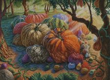 Fertile Ground