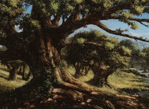 Forest