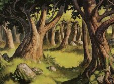 Forest