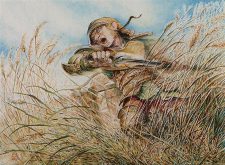 Goldmeadow Dodger