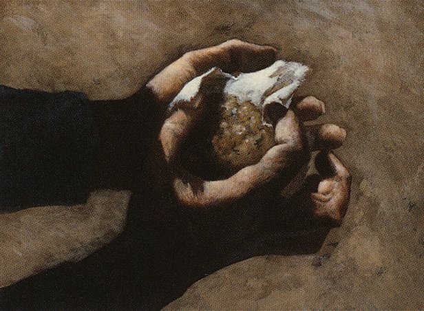 Herbal Poultice