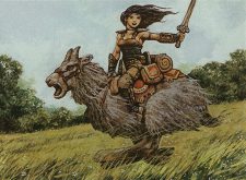 Knight of Meadowgrain