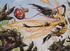 Marsh Flitter