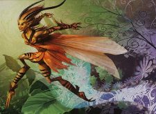 Nectar Faerie