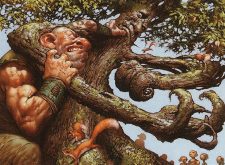 Oaken Brawler
