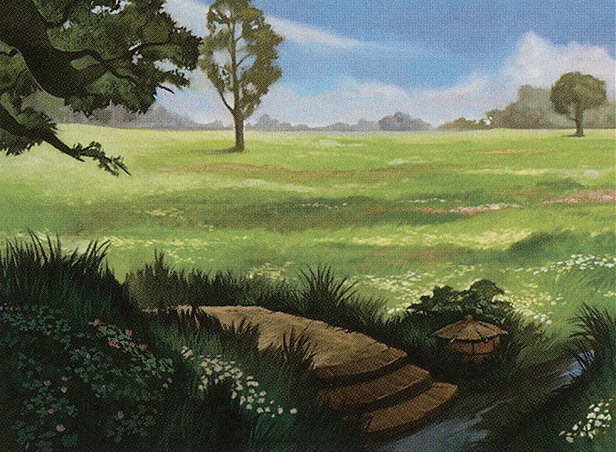 Plains