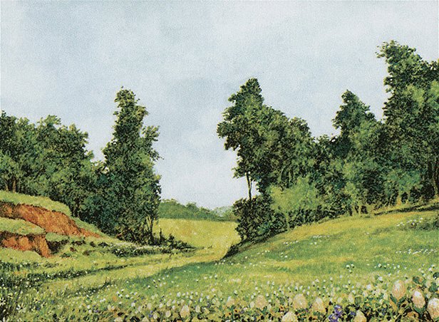 Plains