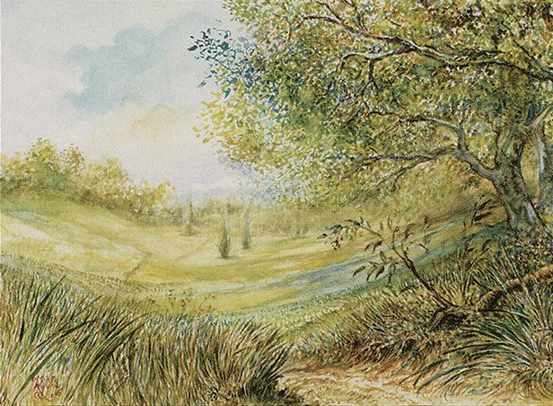 Plains