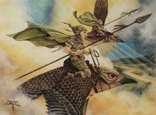 Plover Knights