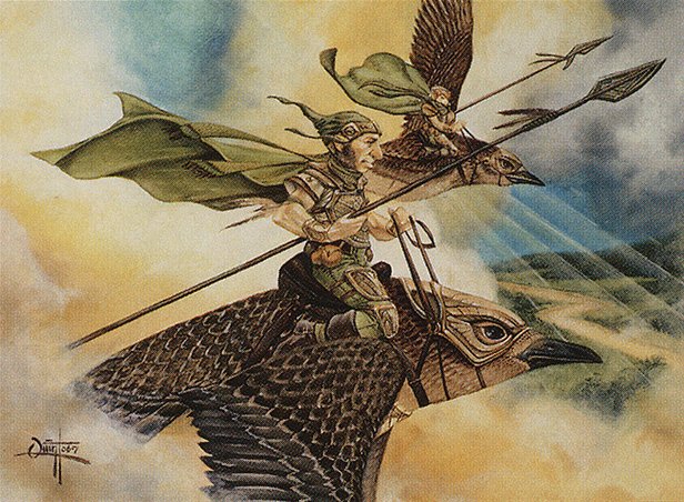Plover Knights