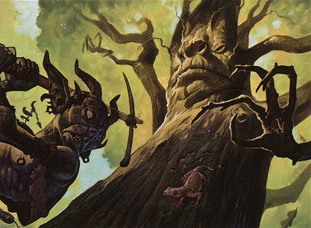 Sentry Oak