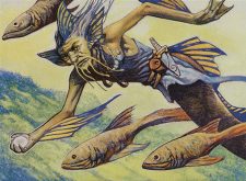 Stonybrook Angler