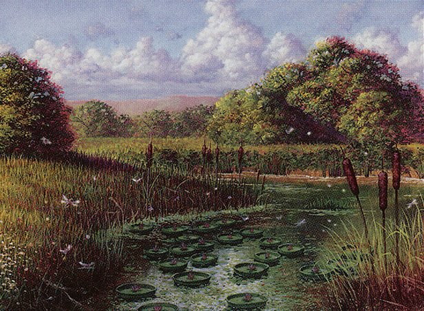 Swamp