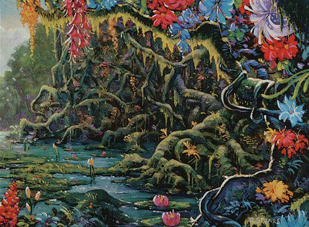 Swamp