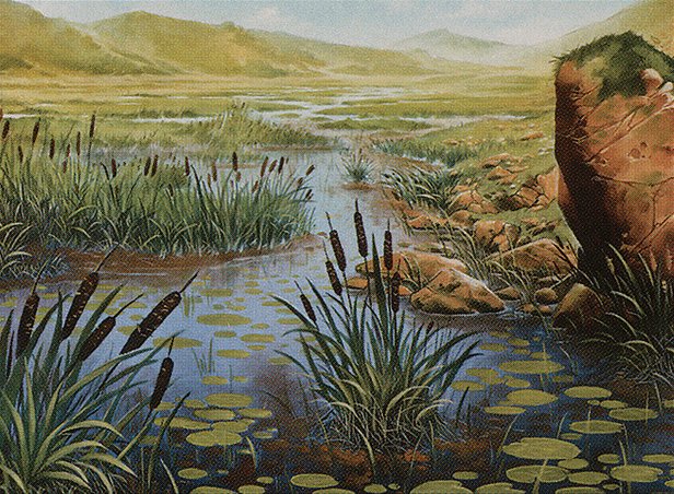 Swamp