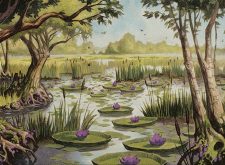 Swamp