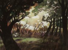 Sylvan Echoes