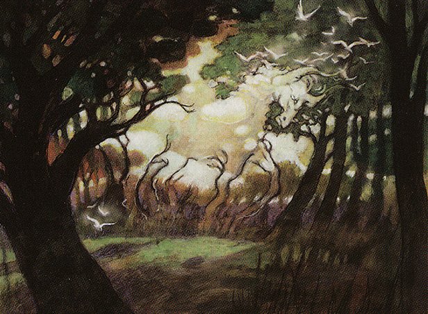 Sylvan Echoes