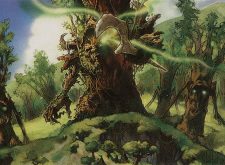 Timber Protector
