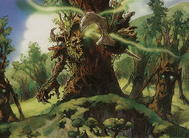 Timber Protector