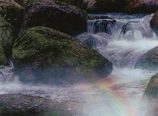 Vivid Creek