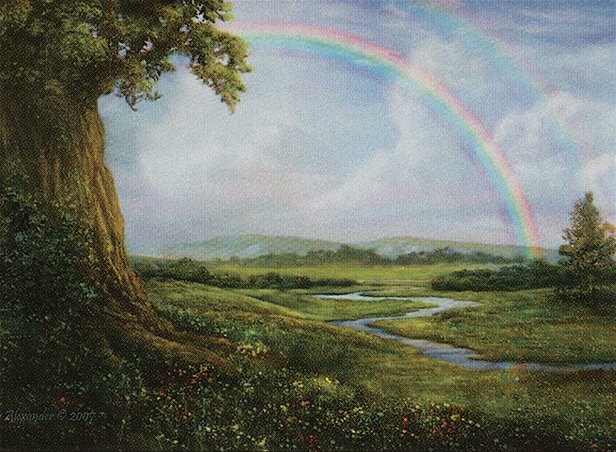 Vivid Meadow
